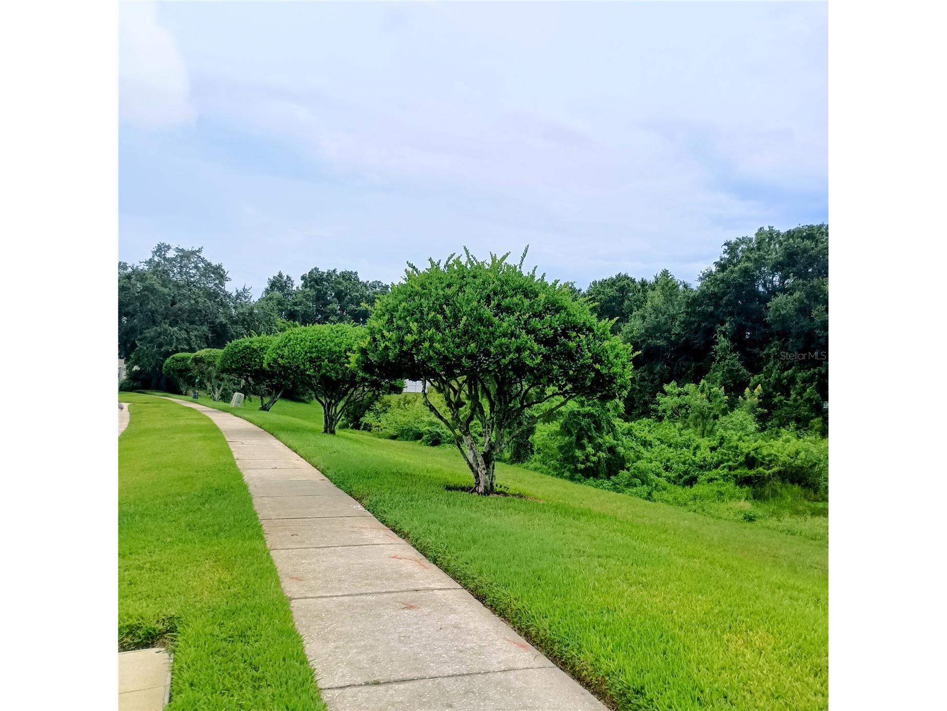 1240 Falconcrest Boulevard Apopka FL 32712 O6307370 image50