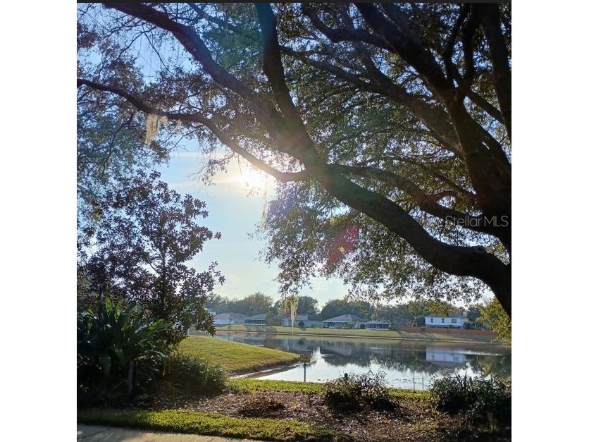 1240 Falconcrest Boulevard Apopka FL 32712 O6307370 image56