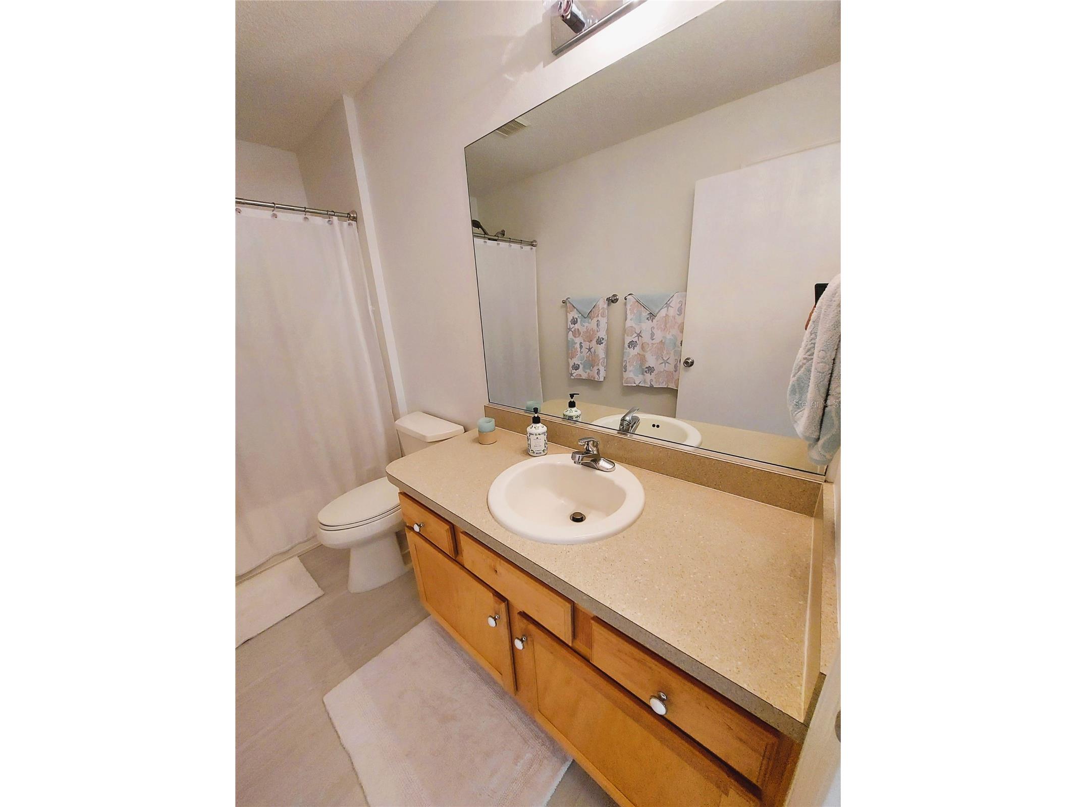 1240 Pageland Way The Villages FL 32162 G5110671 image22