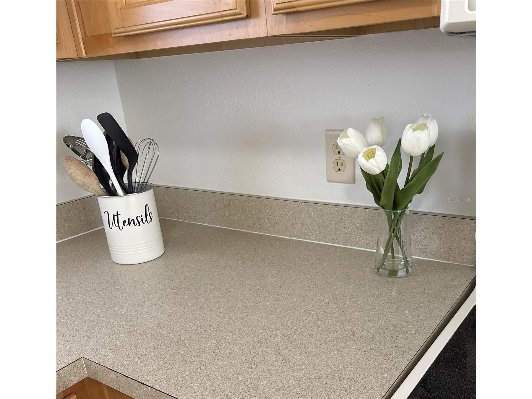 1240 Pageland Way The Villages FL 32162 G5110671 image7