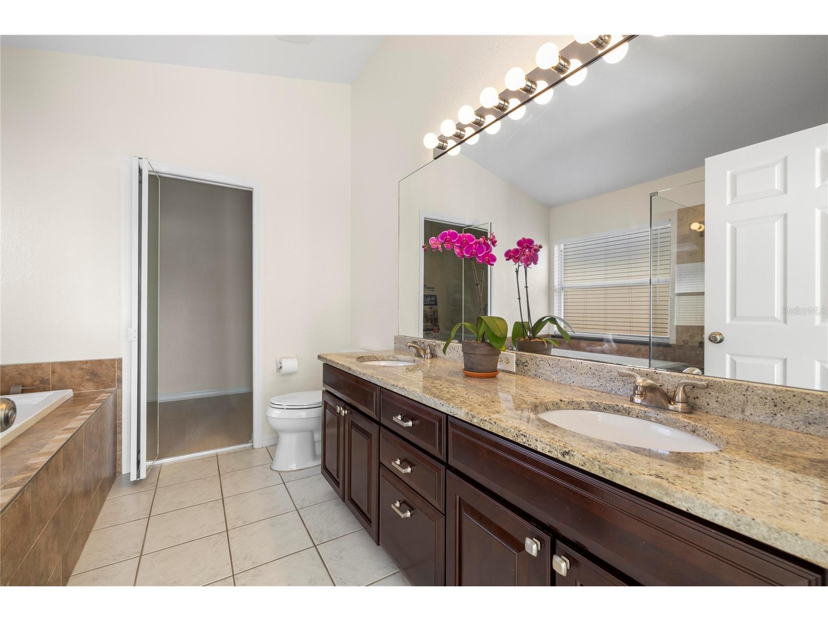 1240 Vinetree Drive Brandon FL 33510 O6391885 image18