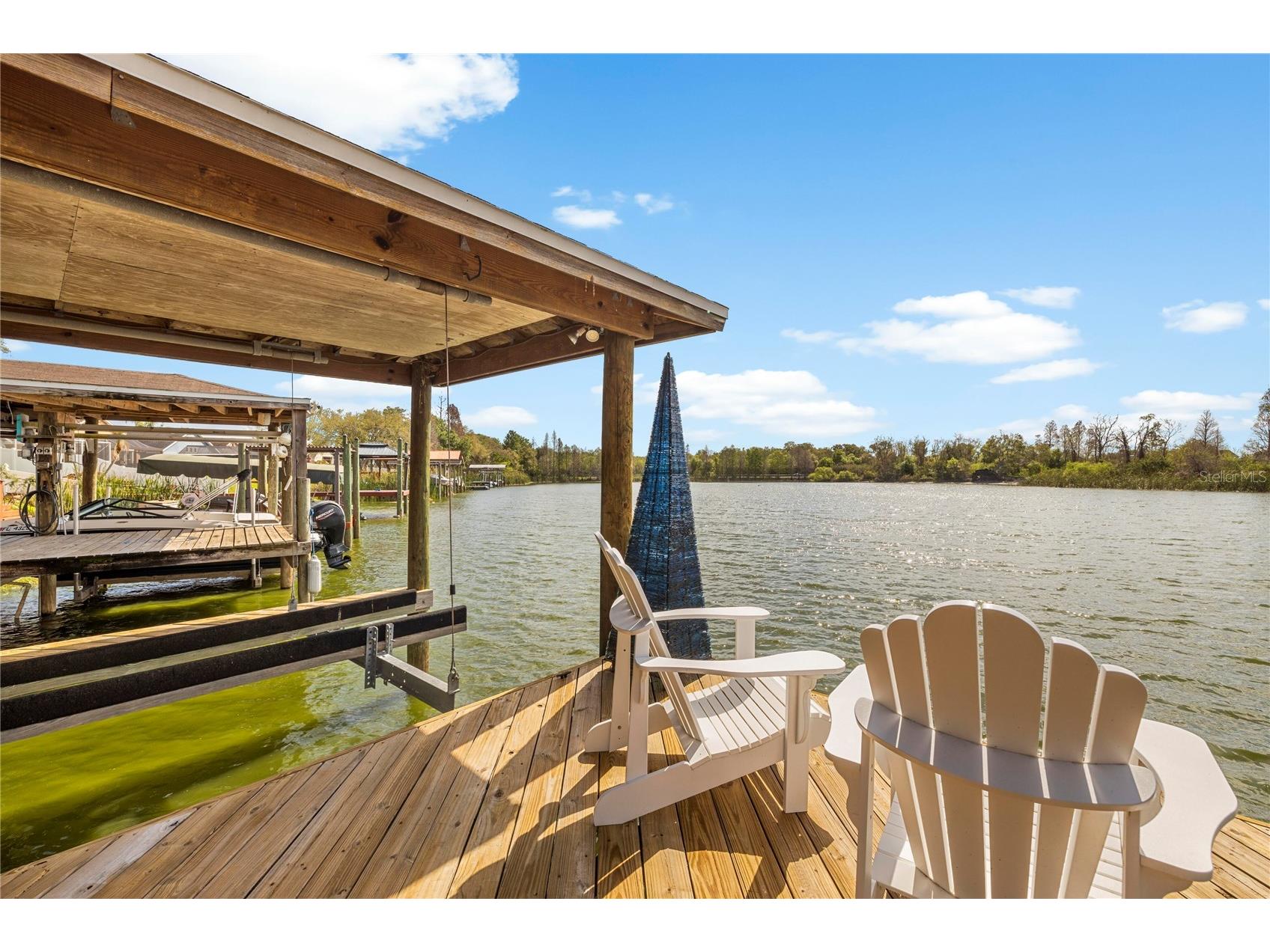 1240 Vinetree Drive Brandon FL 33510 O6391885 image33