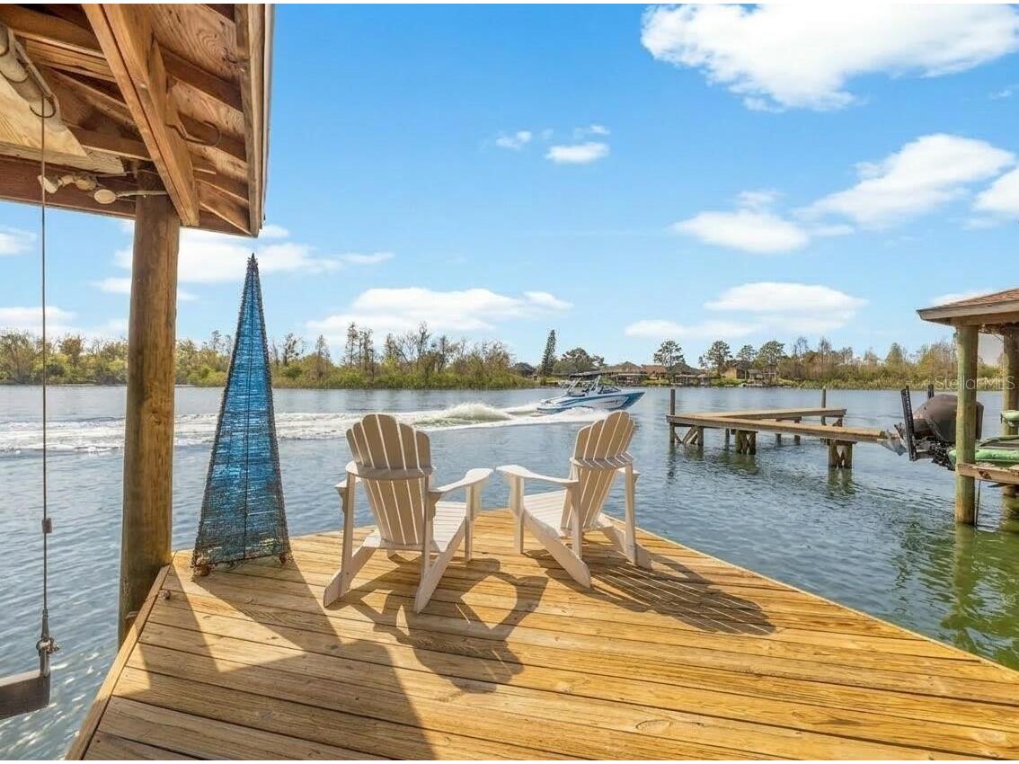 1240 Vinetree Drive Brandon FL 33510 O6391885 image34