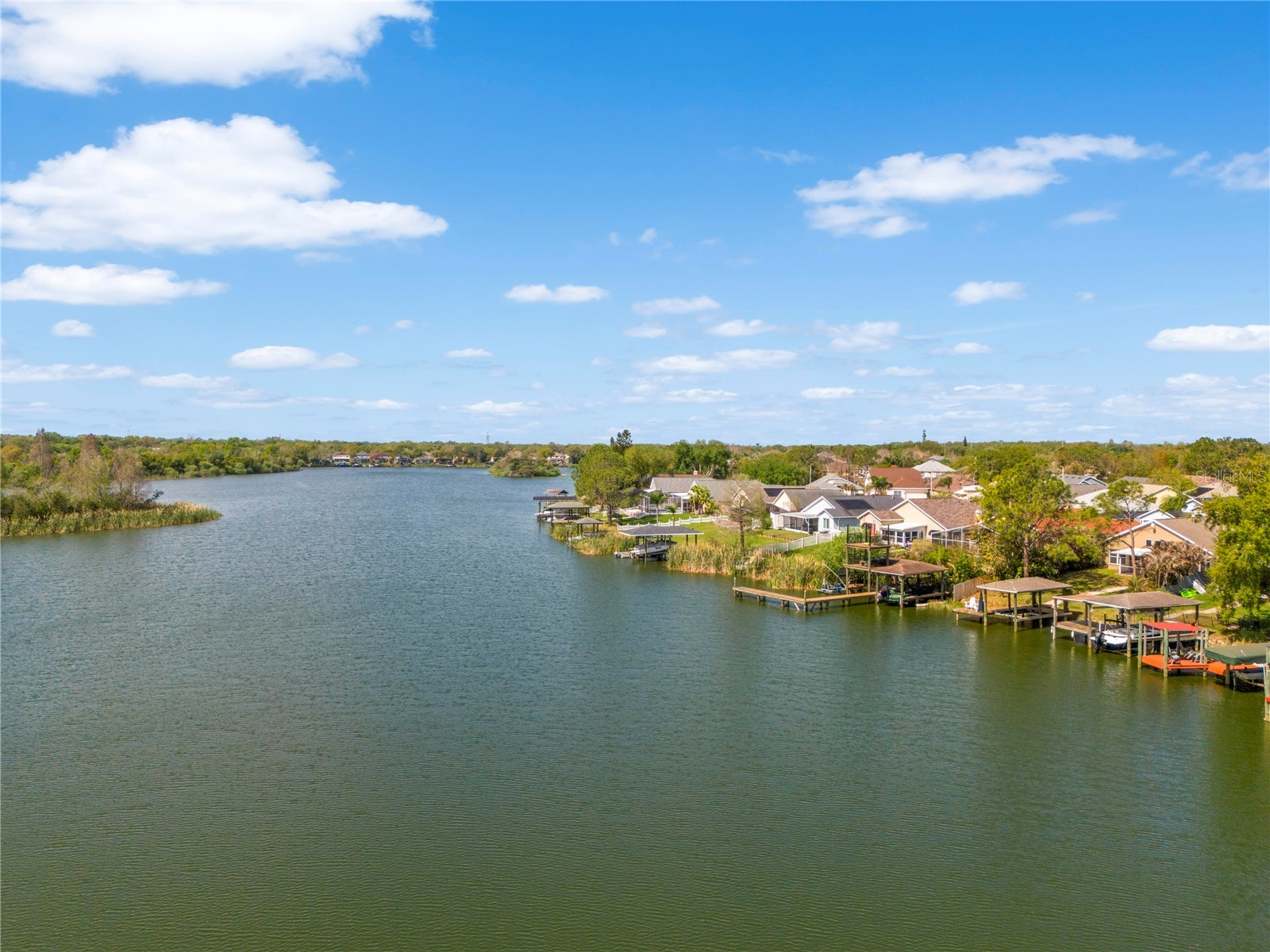 1240 Vinetree Drive Brandon FL 33510 O6391885 image38