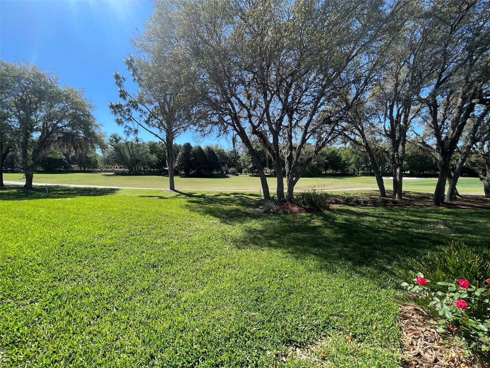 1240 W Diamond Shore Loop Hernando FL 34442 OM716747 image30