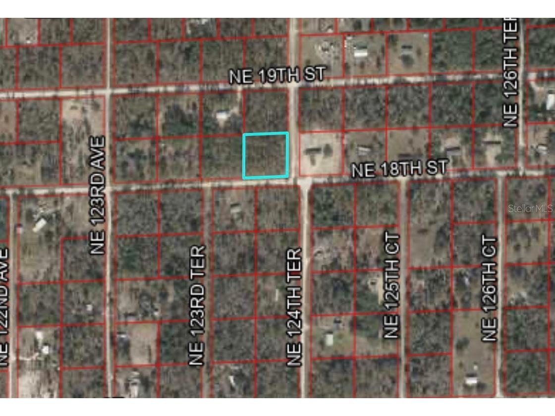 12400 18th Street NE Williston FL 32696 T3460715 image1