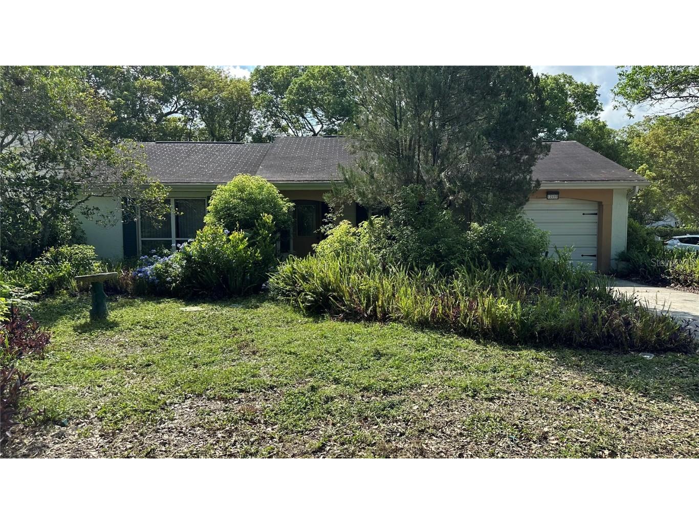 12400 Carriage Lane Bayonet Point FL 34667 W7856795 image1