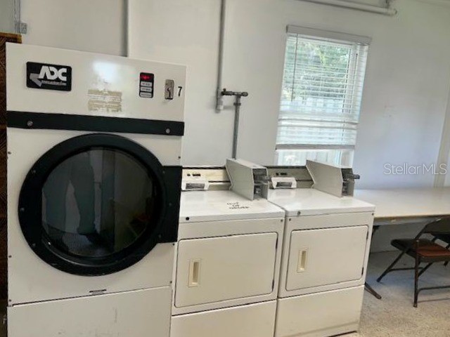 12400 Park Blvd #623 Seminole FL 33772 TB8497328 image31