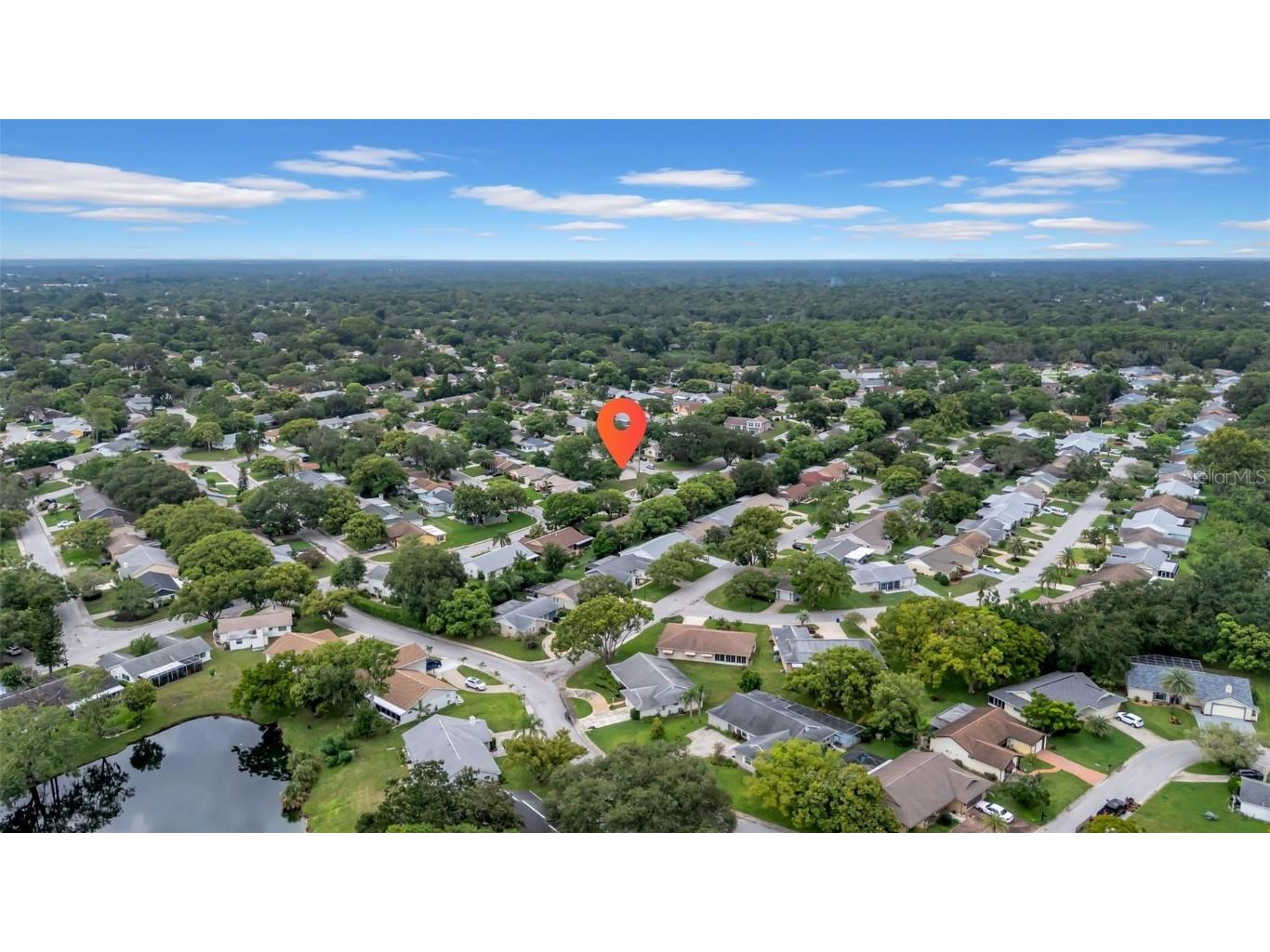 12401 Gunstock Lane Hudson FL 34667 W7876998 image38