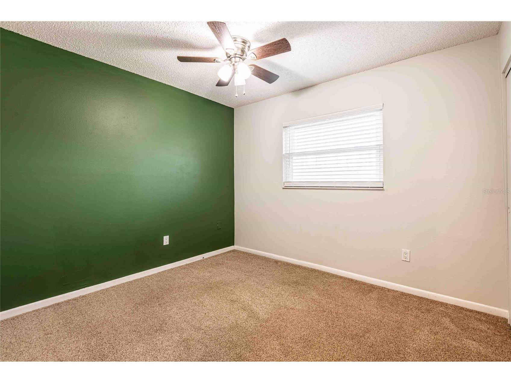12401 Rose Street Seminole FL 33772 TB8488231 image17