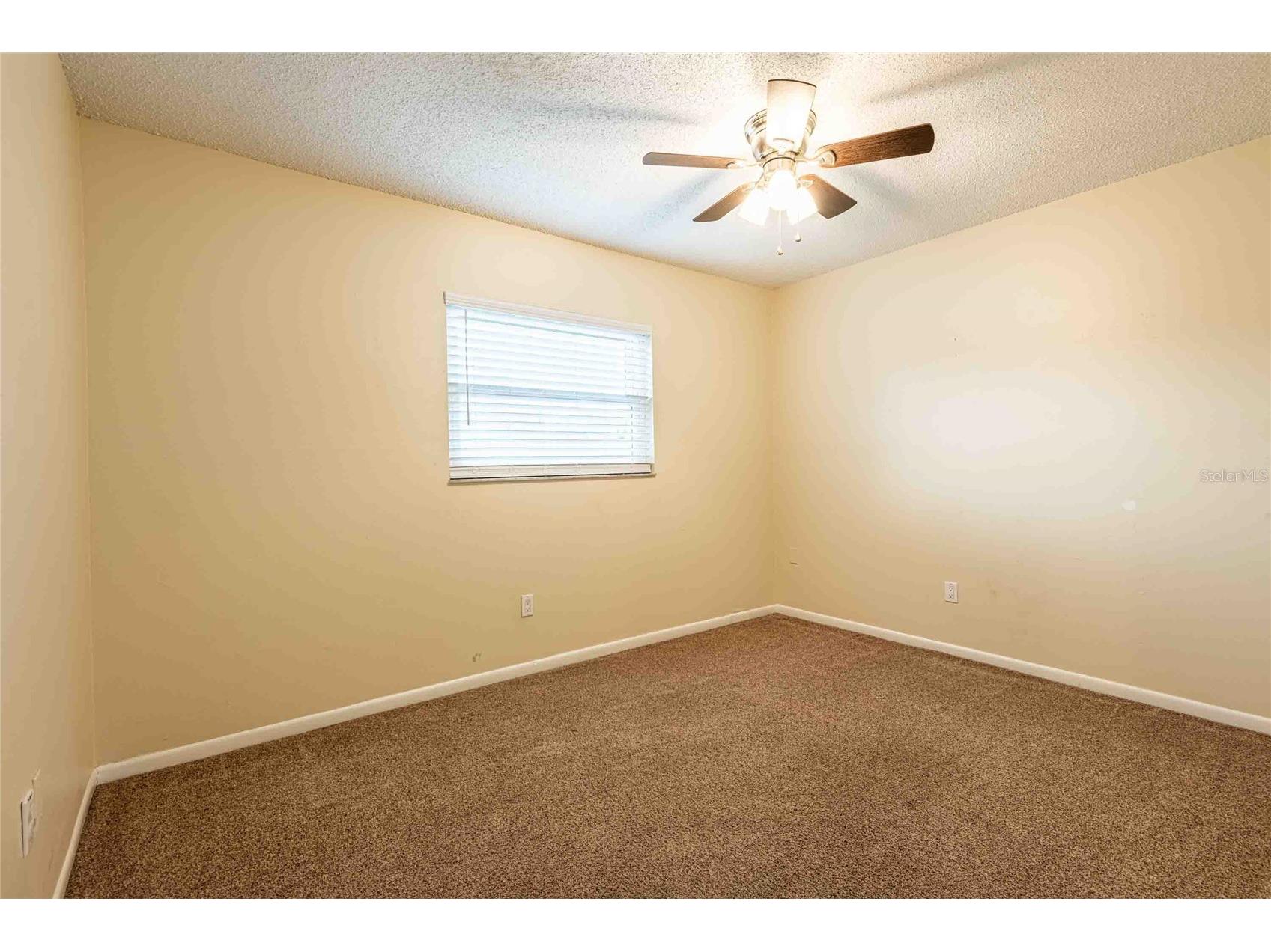 12401 Rose Street Seminole FL 33772 TB8488231 image18