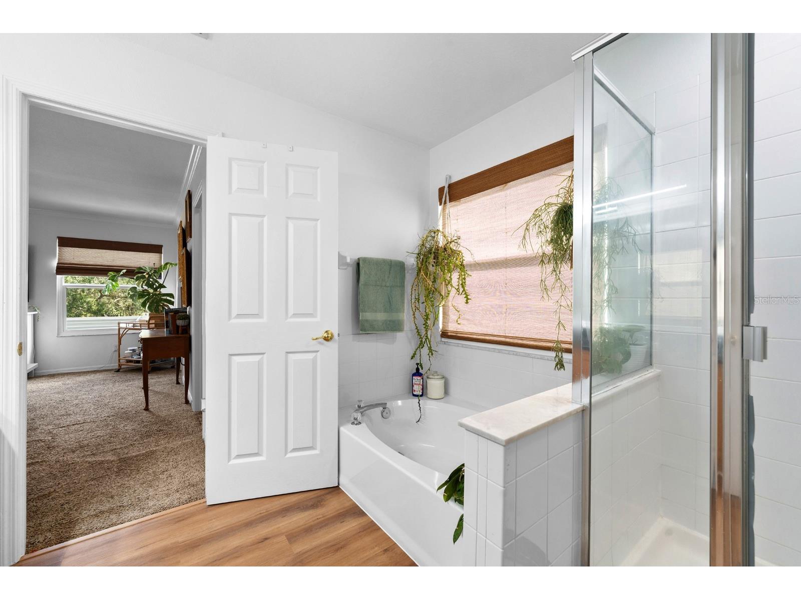 12402 Rustic View Court Tampa FL 33635 TB8469524 image23