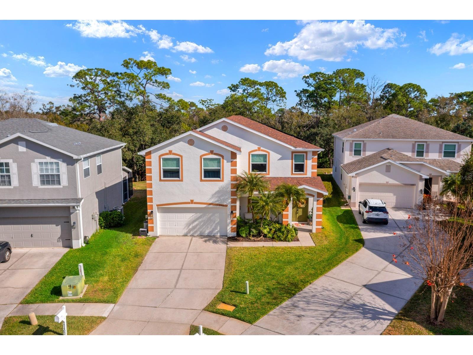 12402 Rustic View Court Tampa FL 33635 TB8469524 image3