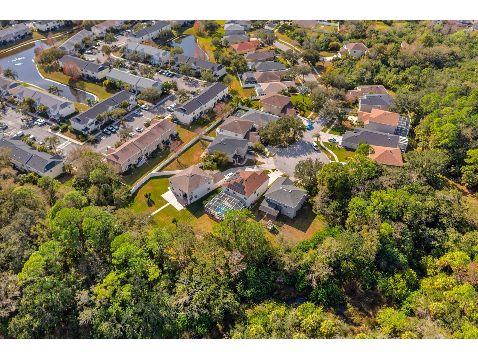 12402 Rustic View Court Tampa FL 33635 TB8469524 image35