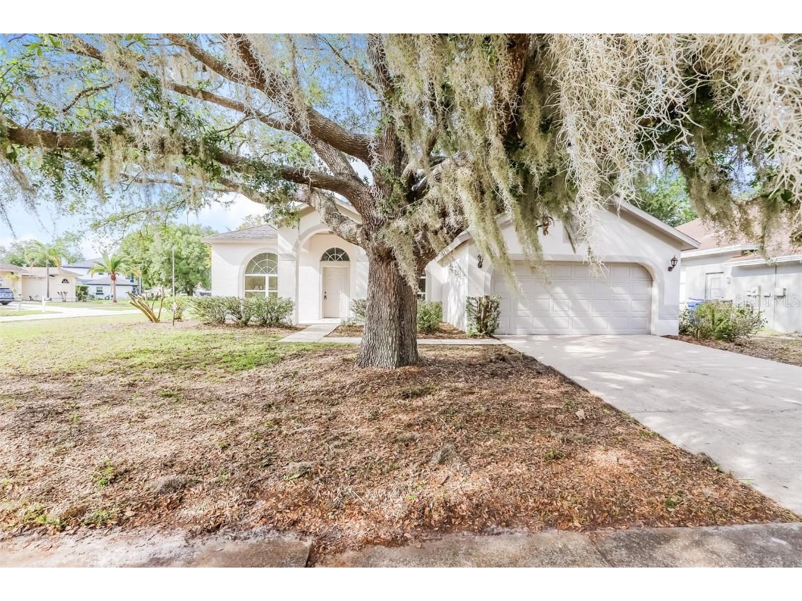 12402 Windswept Avenue Riverview FL 33569 O6192571 image1