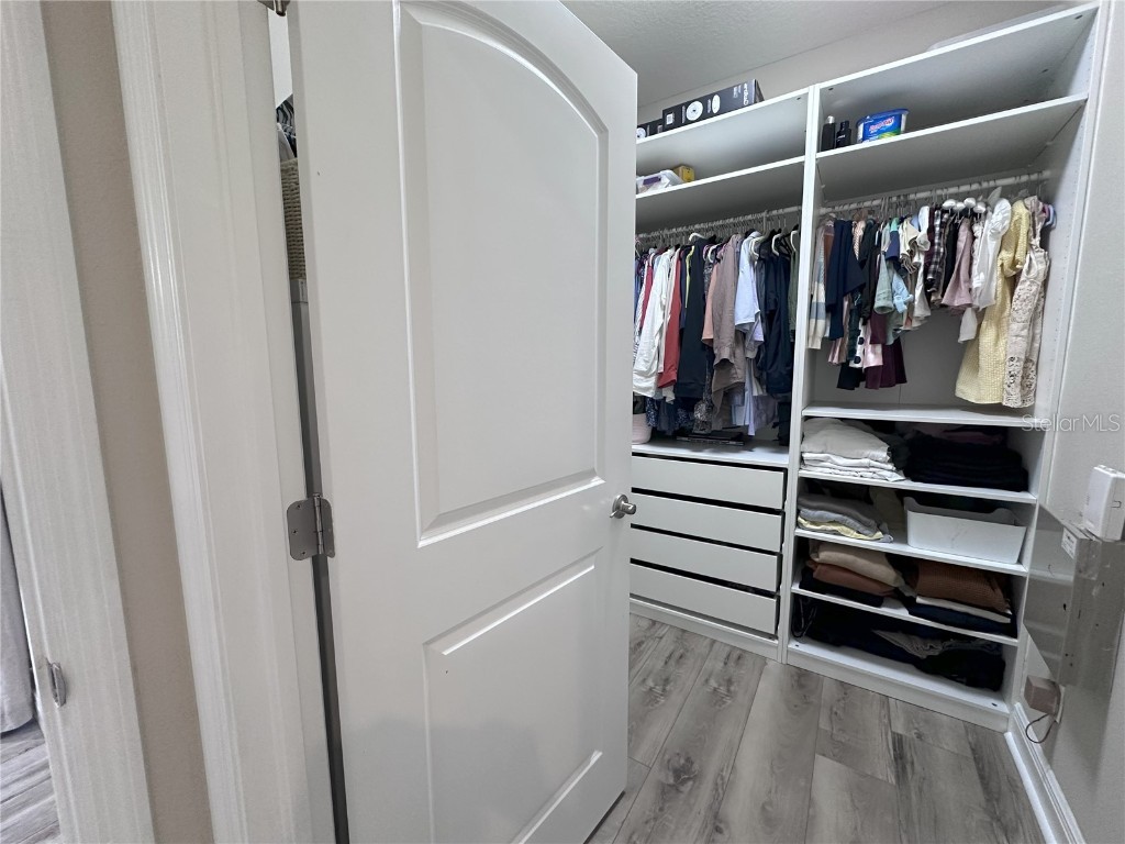 12403 Coralbean Court New Port Richey FL 34654 W7879609 image11