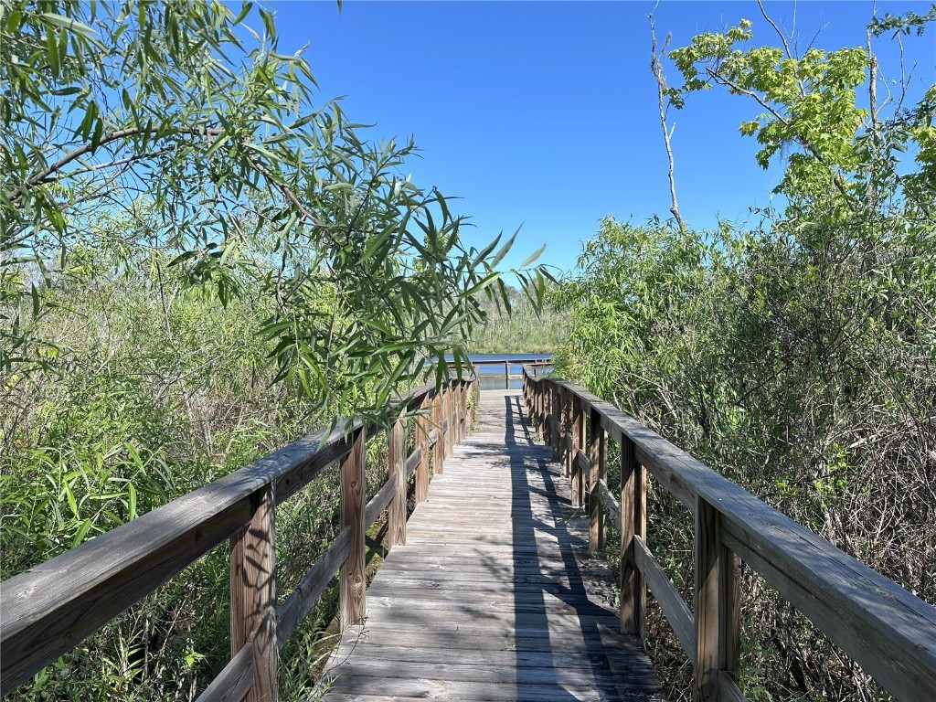 12403 Coralbean Court New Port Richey FL 34654 W7879609 image41