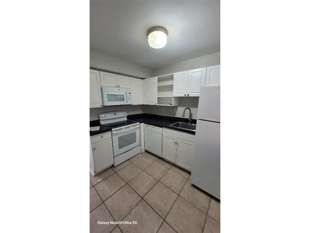 12403 Hibiscus Oak Place #101 Tampa FL 33612 TB8453968 image2