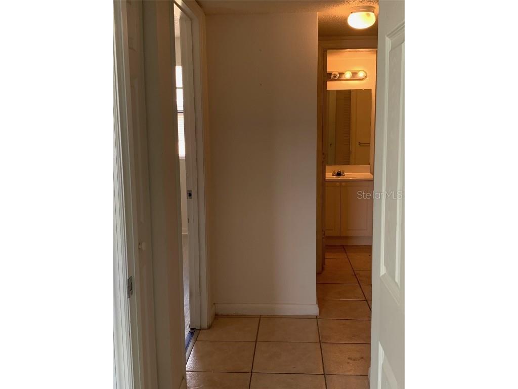 12403 Hibiscus Oak Place #202 Tampa FL 33612 TB8356396 image19