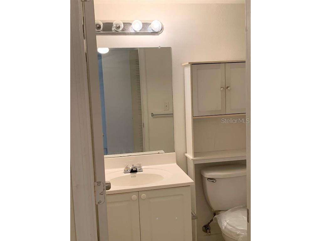 12403 Hibiscus Oak Place #202 Tampa FL 33612 TB8356396 image31
