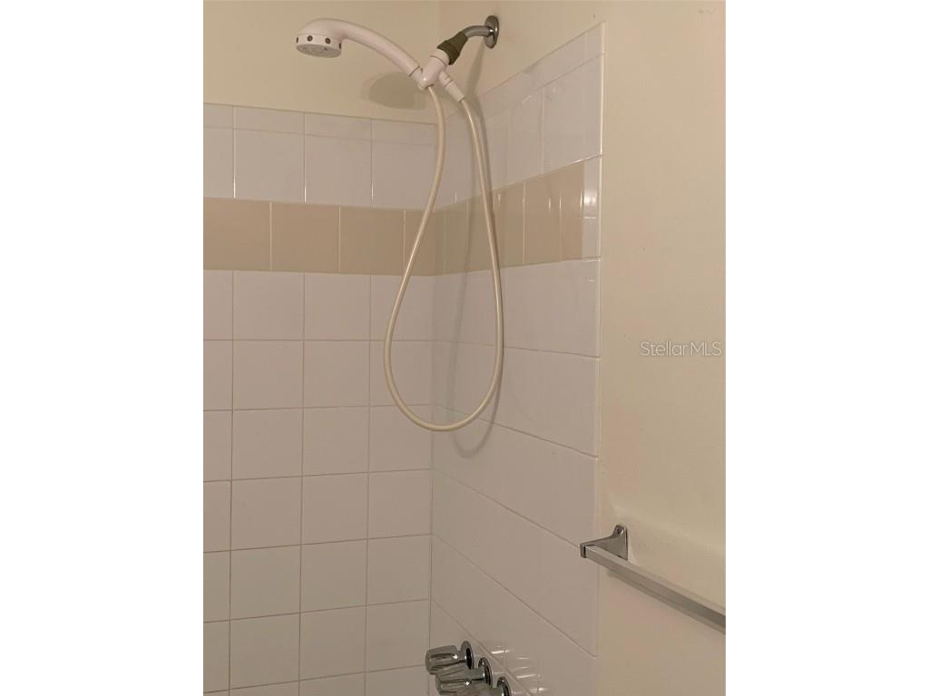 12403 Hibiscus Oak Place #202 Tampa FL 33612 TB8356396 image33