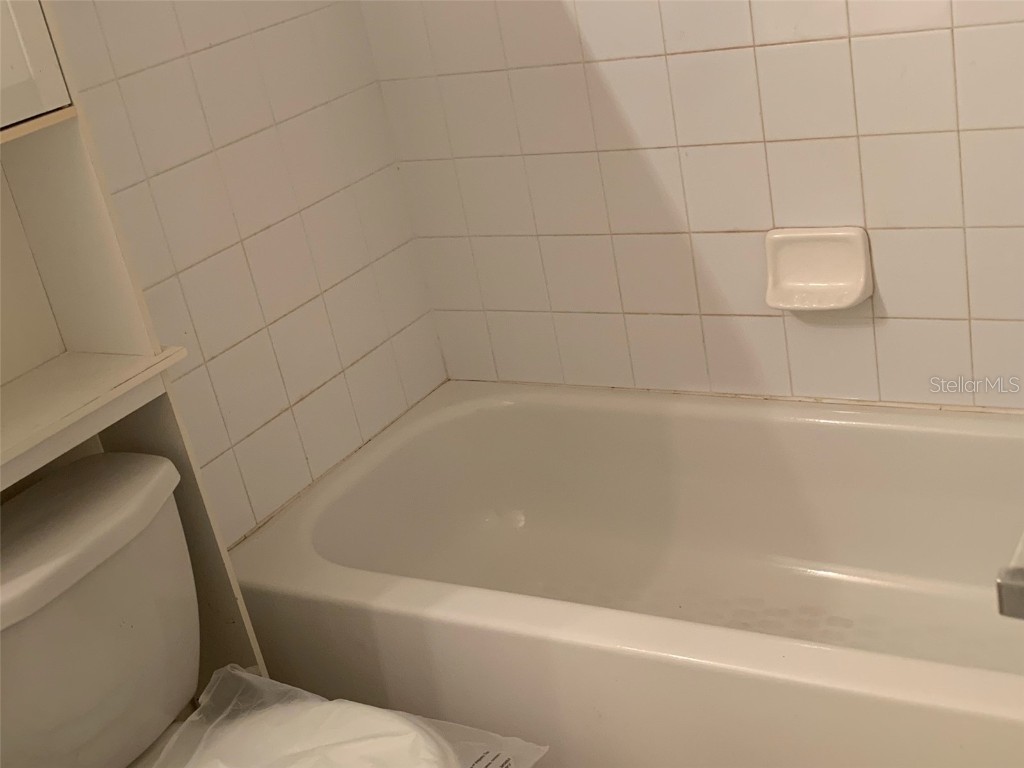12403 Hibiscus Oak Place #202 Tampa FL 33612 TB8356396 image34