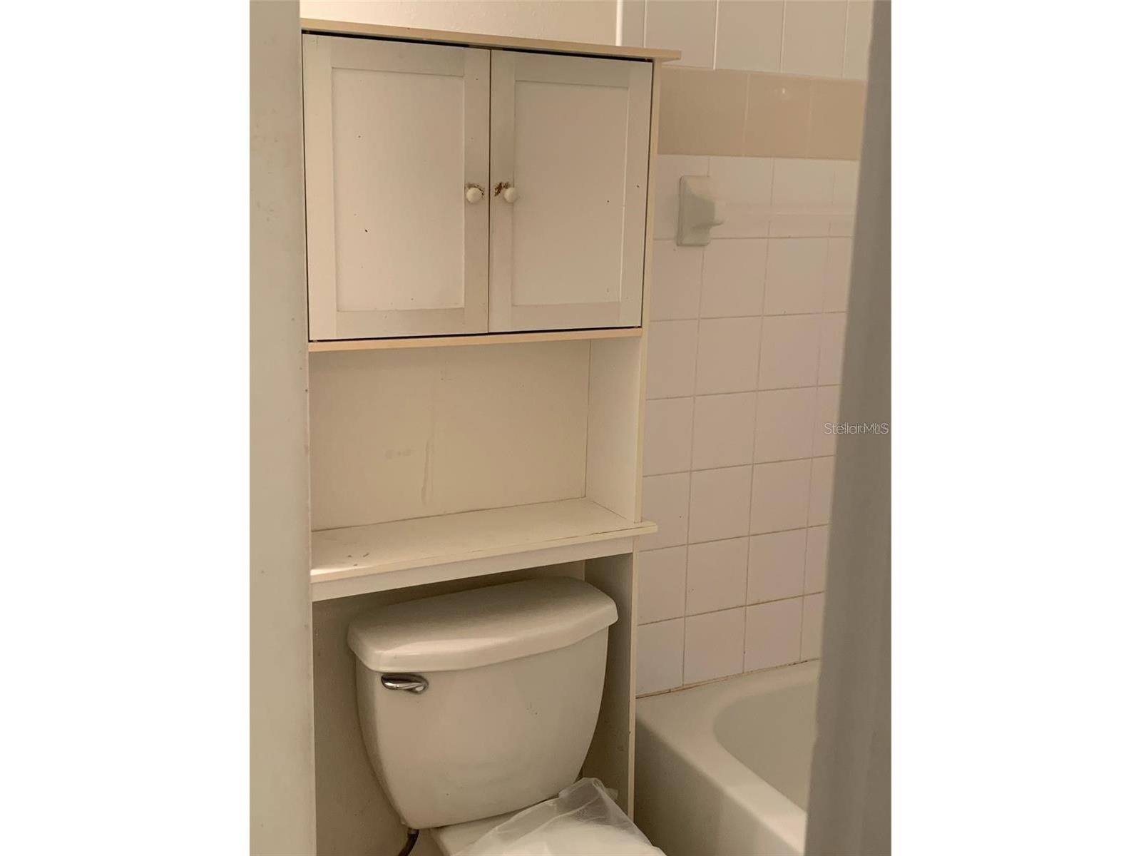 12403 Hibiscus Oak Place #202 Tampa FL 33612 TB8496922 image24