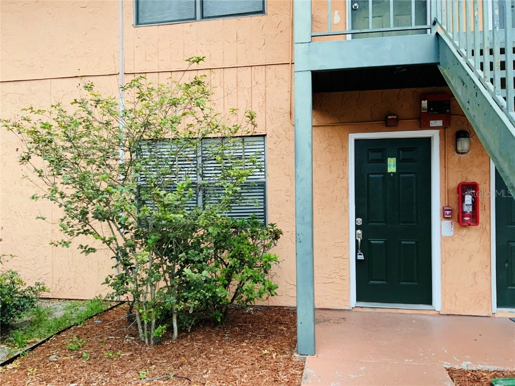 12403 Orange Blossom Oak Place #102 Tampa FL 33612 T3453435 image1