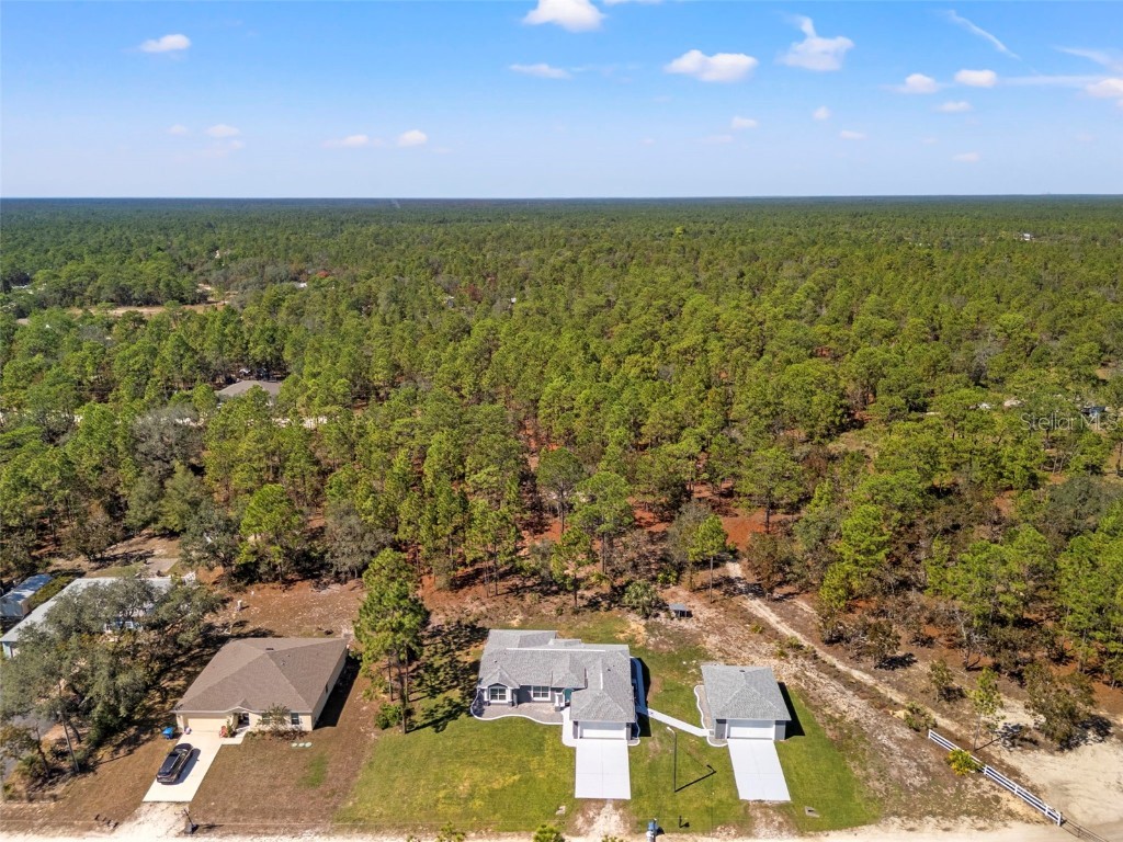 12403 Snowy Egret Avenue Weeki Wachee FL 34614 W7880145 image59