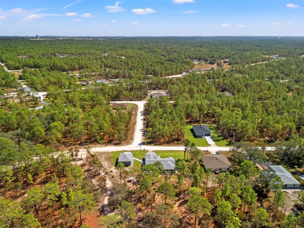 12403 Snowy Egret Avenue Weeki Wachee FL 34614 W7880145 image60