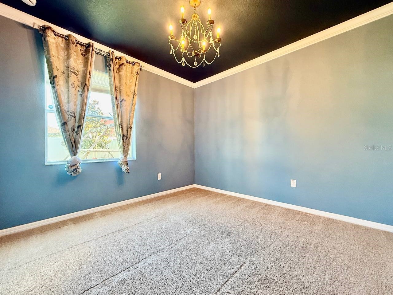 12404 Ballentrae Forest Drive Riverview FL 33579 TB8519966 image17