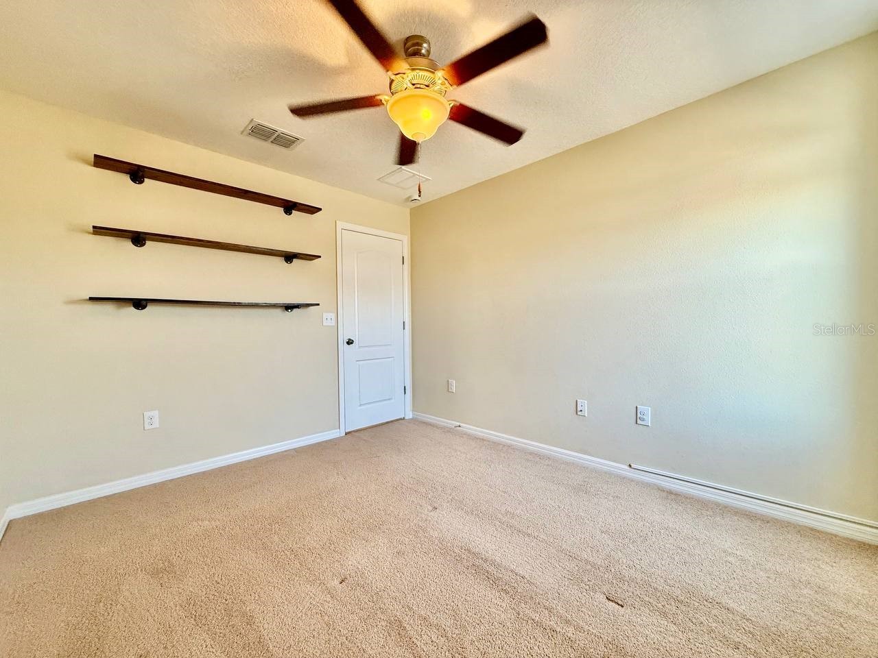 12404 Ballentrae Forest Drive Riverview FL 33579 TB8519966 image30