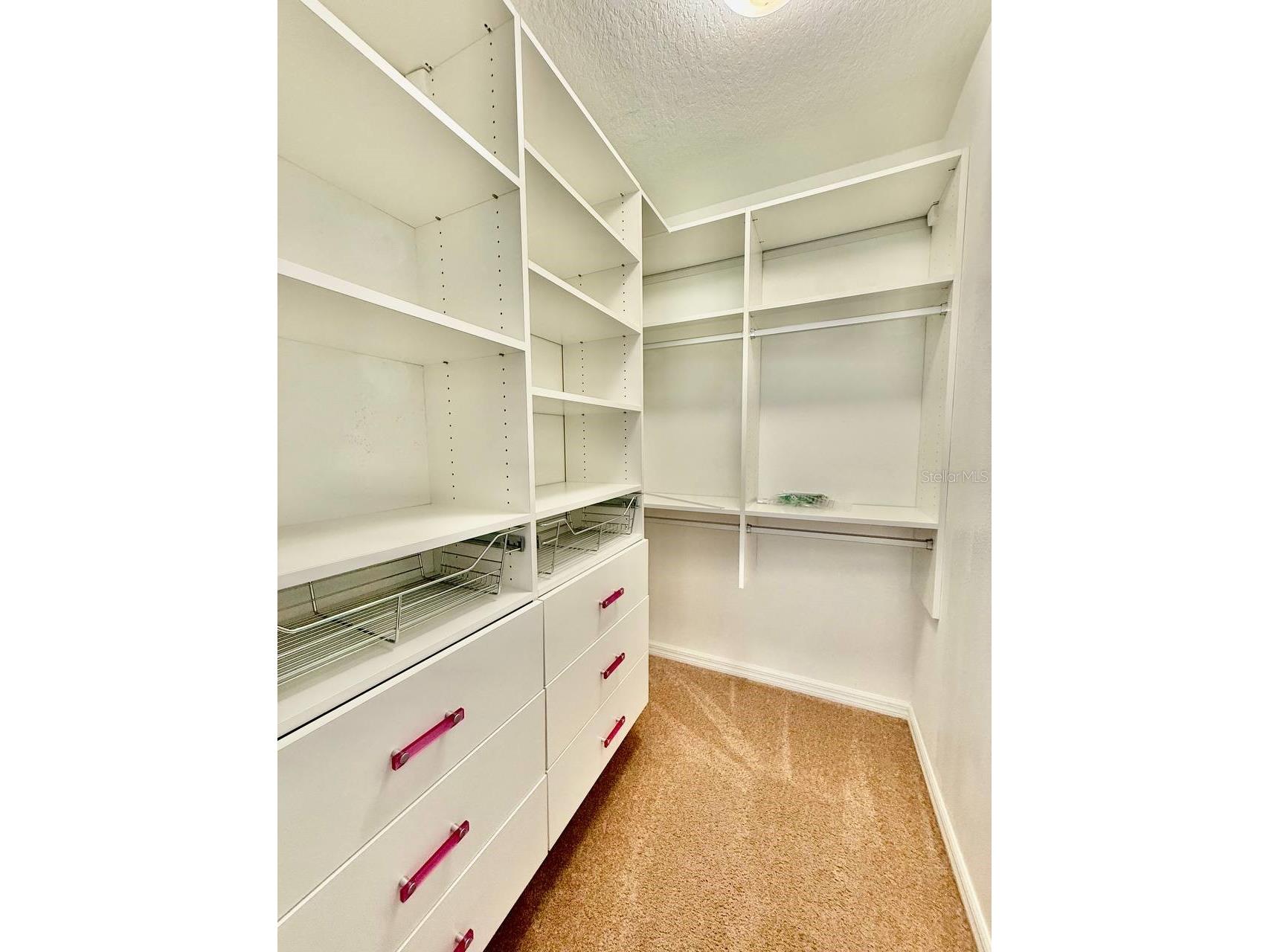 12404 Ballentrae Forest Drive Riverview FL 33579 TB8519966 image35
