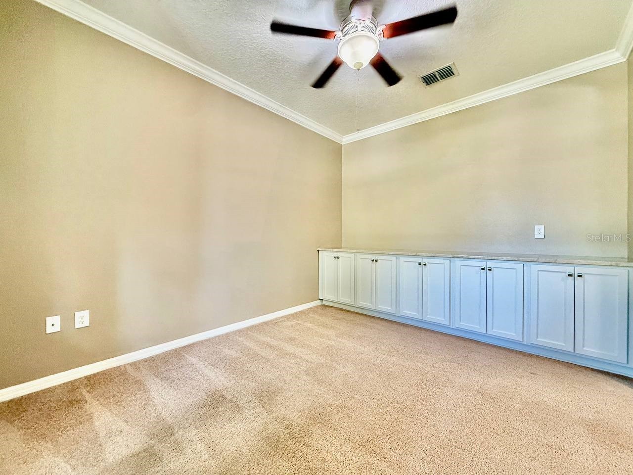 12404 Ballentrae Forest Drive Riverview FL 33579 TB8519966 image5