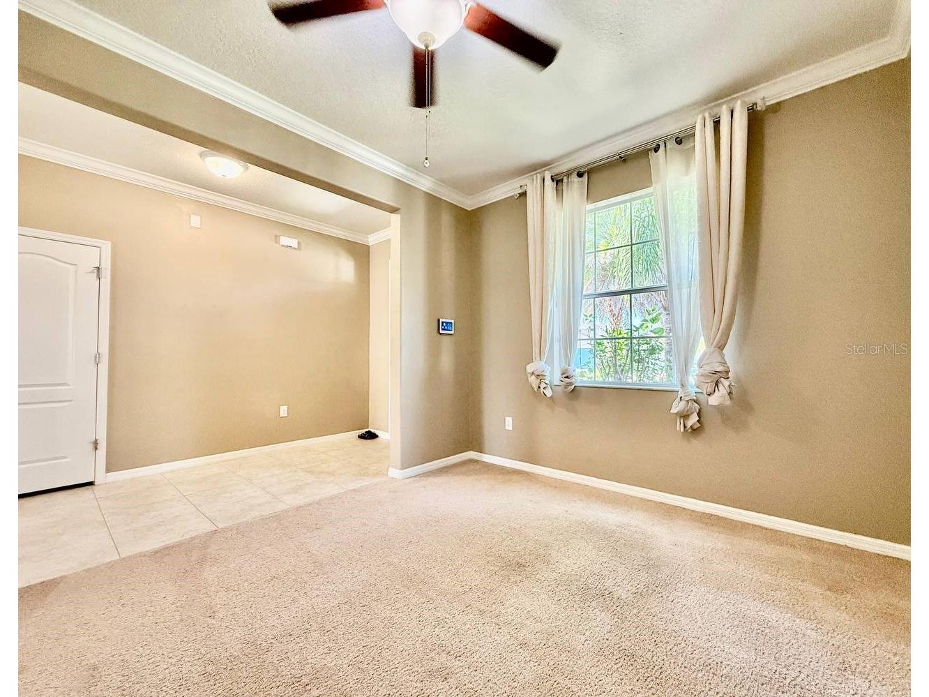 12404 Ballentrae Forest Drive Riverview FL 33579 TB8519966 image6