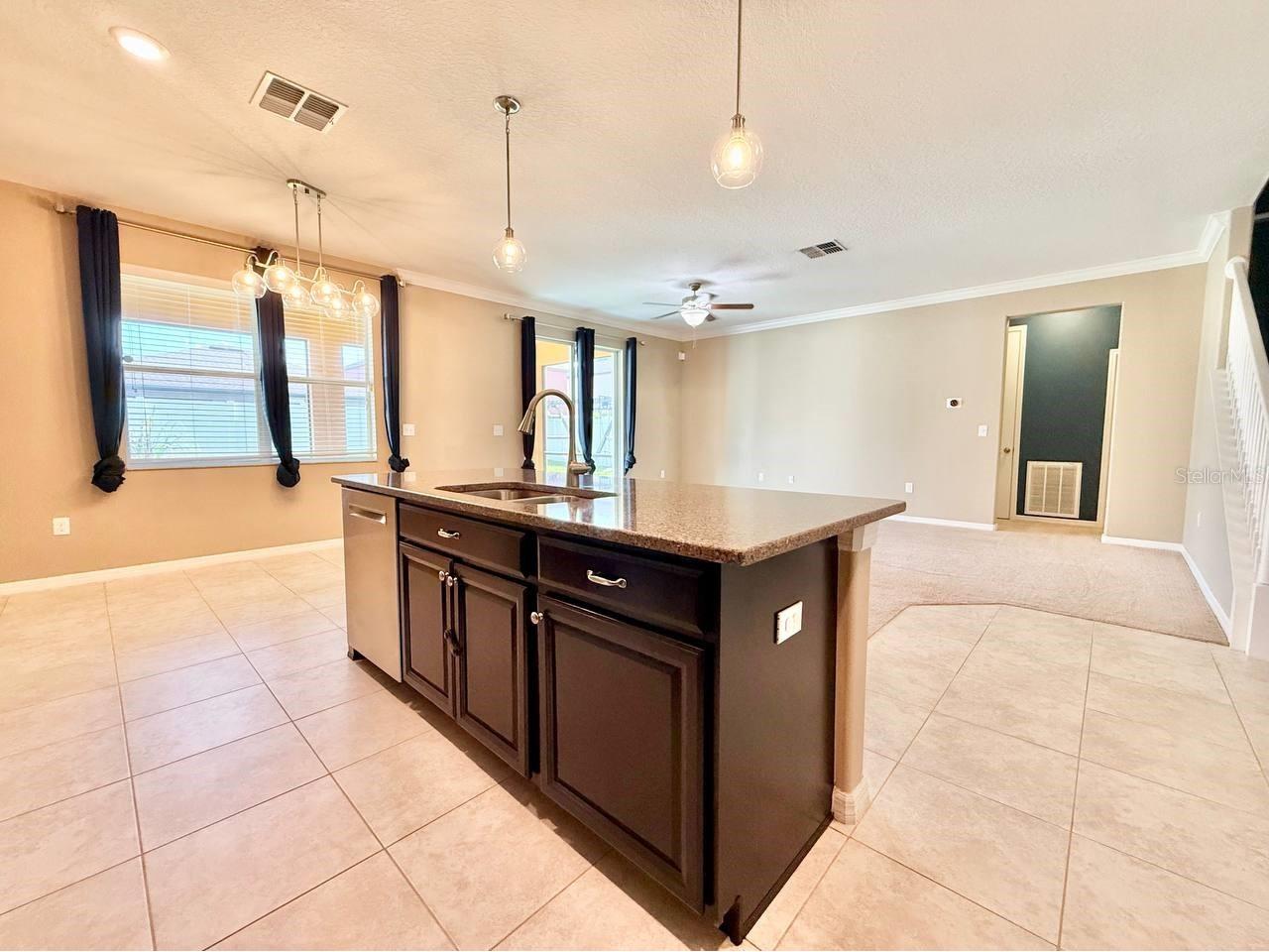 12404 Ballentrae Forest Drive Riverview FL 33579 TB8519966 image8