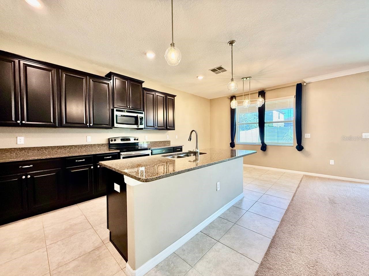 12404 Ballentrae Forest Drive Riverview FL 33579 TB8519966 image9