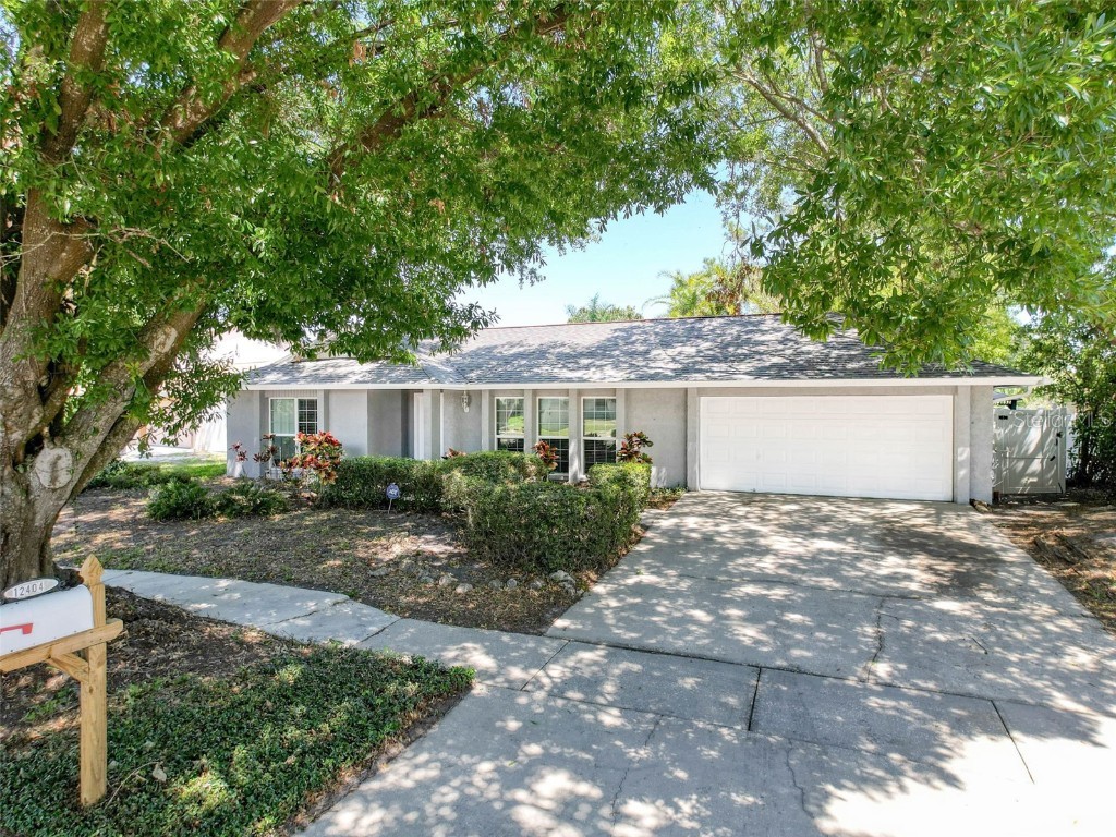 12404 Cardiff Drive Tampa FL 33625 TB8372749 image1