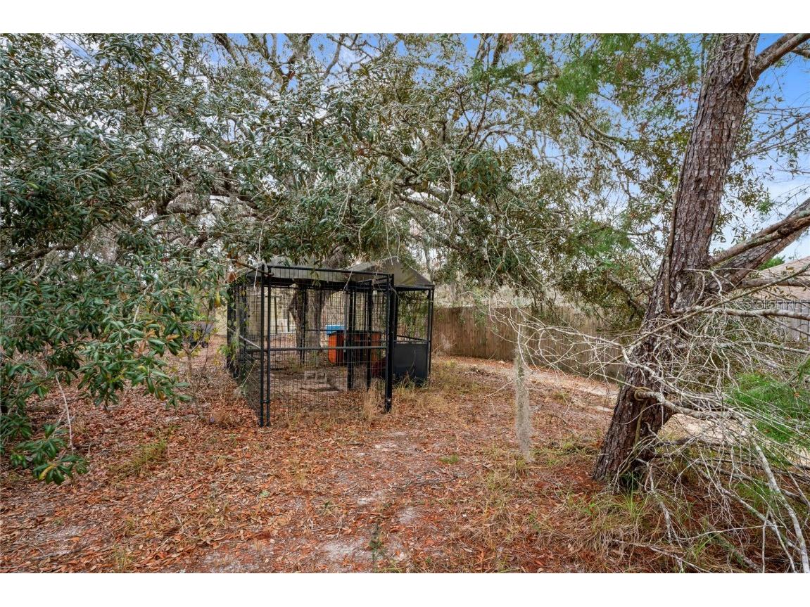 12404 Dolquieb Lane Weeki Wachee FL 34614 TB8336841 image39