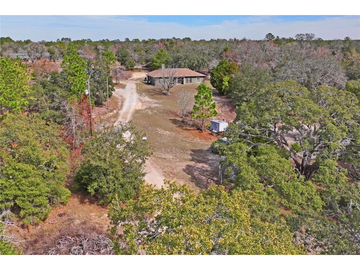 12404 Dolquieb Lane Weeki Wachee FL 34614 TB8336841 image57