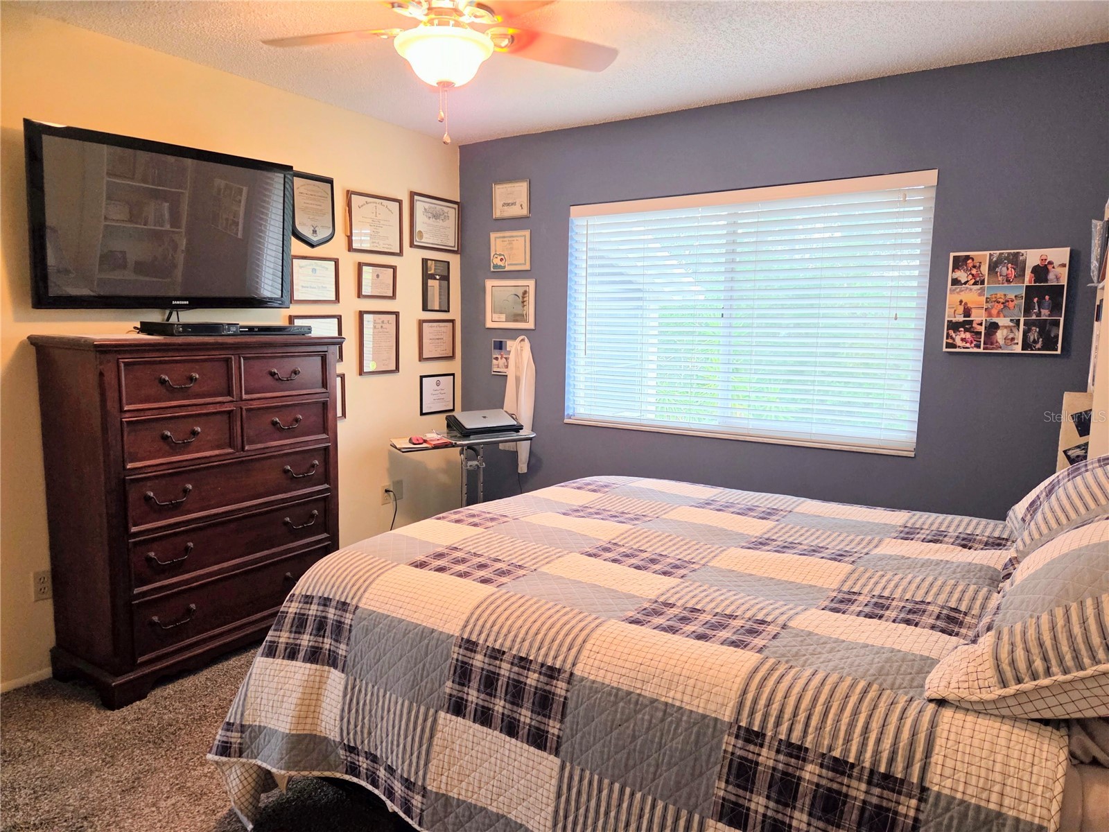 12404 Eagleswood Drive #C Hudson FL 34667 W7883502 image8