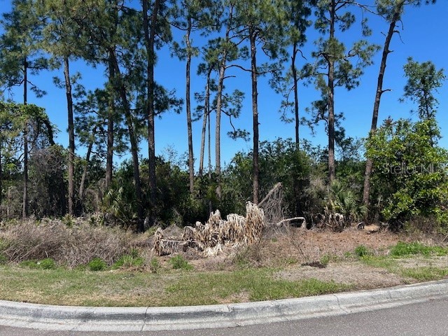 12405 Cruxbury Drive Windermere FL 34786 O6394966 image22