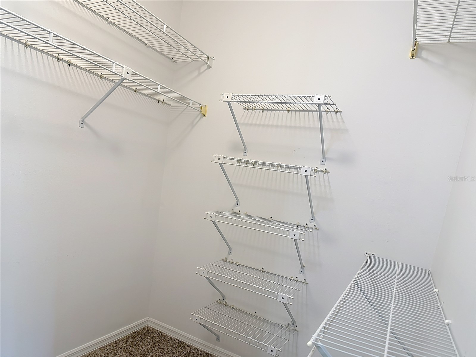 12405 Eagleswood Drive #D Hudson FL 34667 TB8500335 image35