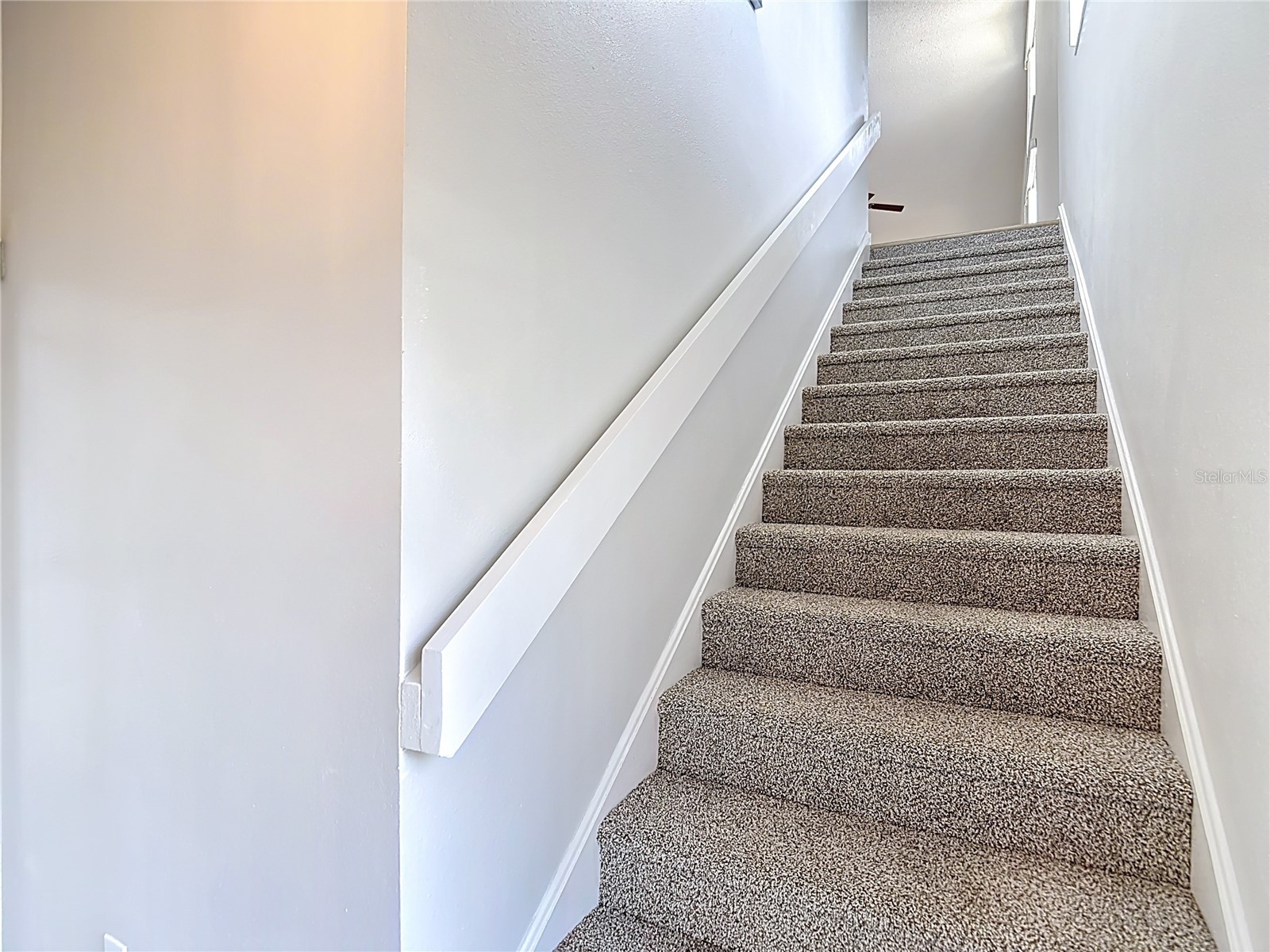 12405 Eagleswood Drive #D Hudson FL 34667 TB8500335 image5