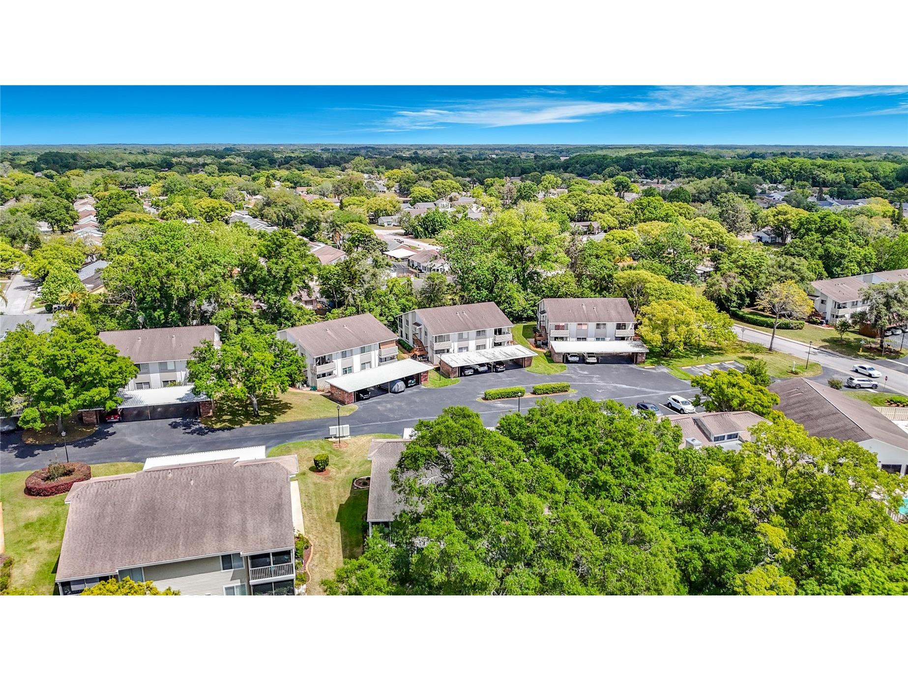 12405 Eagleswood Drive #D Hudson FL 34667 TB8500335 image52