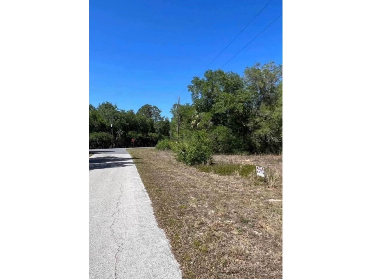 12405 N Goldie Point Dunnellon FL 34433 O6377505 image2