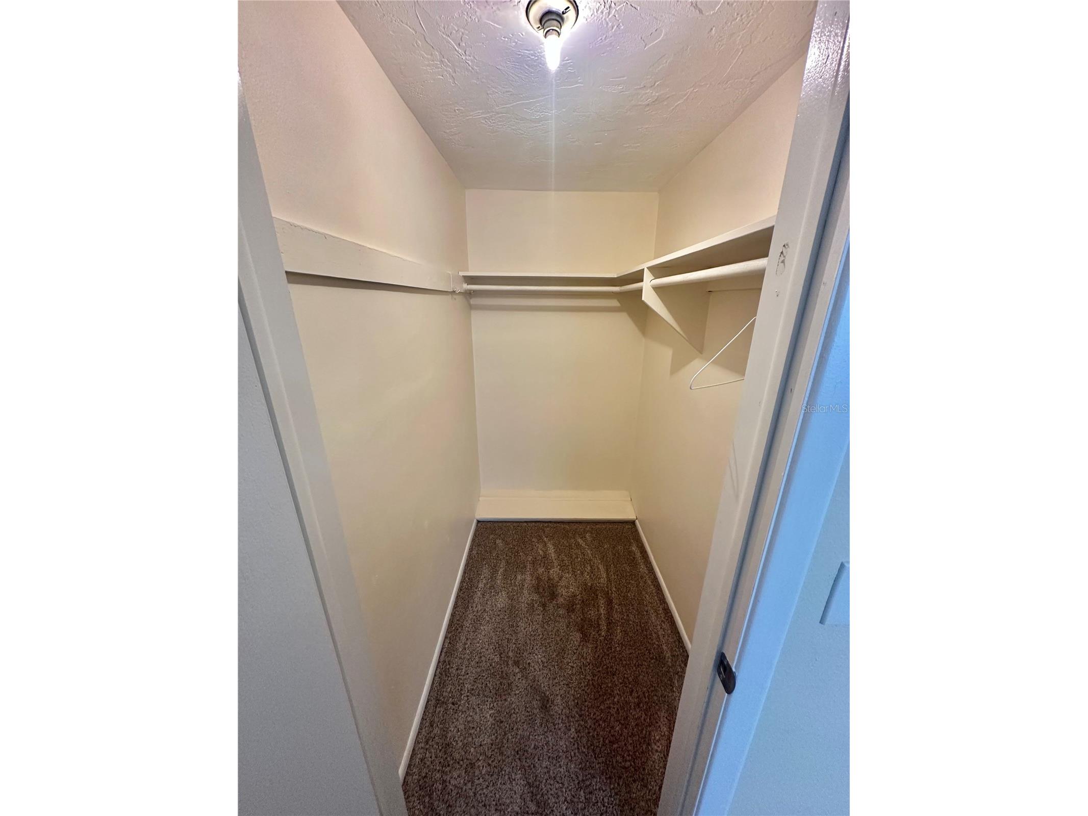 12406 Cobble Stone Drive Hudson FL 34667 - Bear Creek S5142831 image16