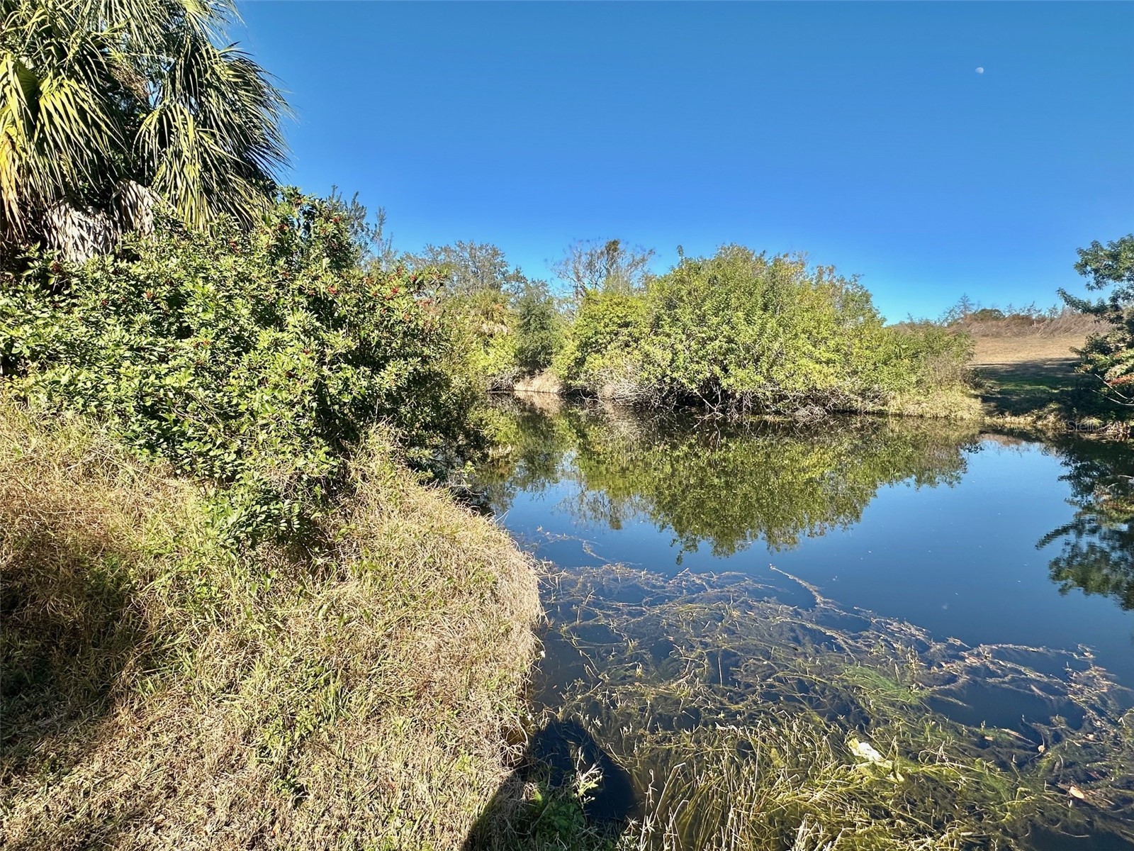 12406 Cobble Stone Drive Hudson FL 34667 - Bear Creek S5142831 image2