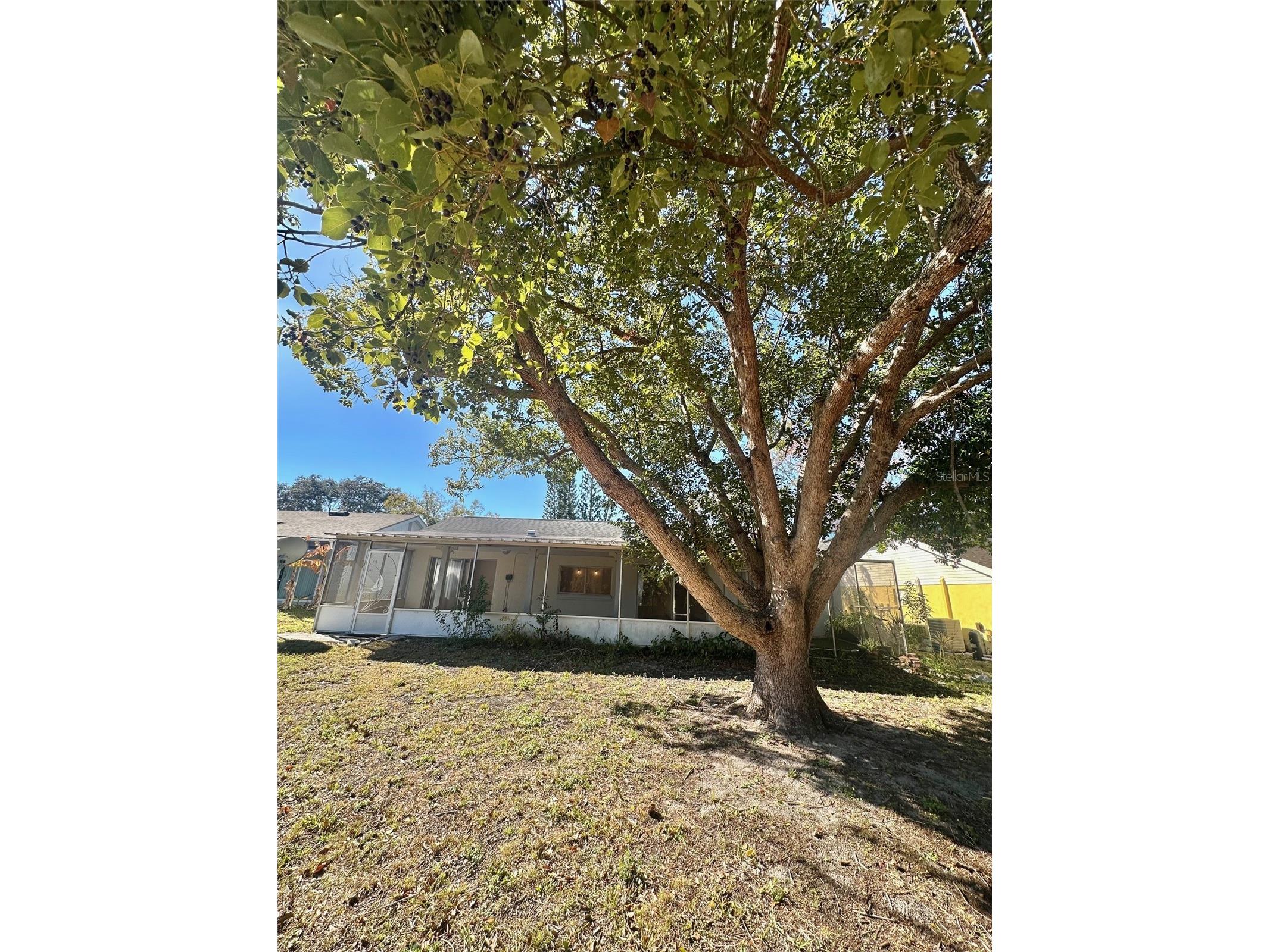 12406 Cobble Stone Drive Hudson FL 34667 - Bear Creek S5142831 image26