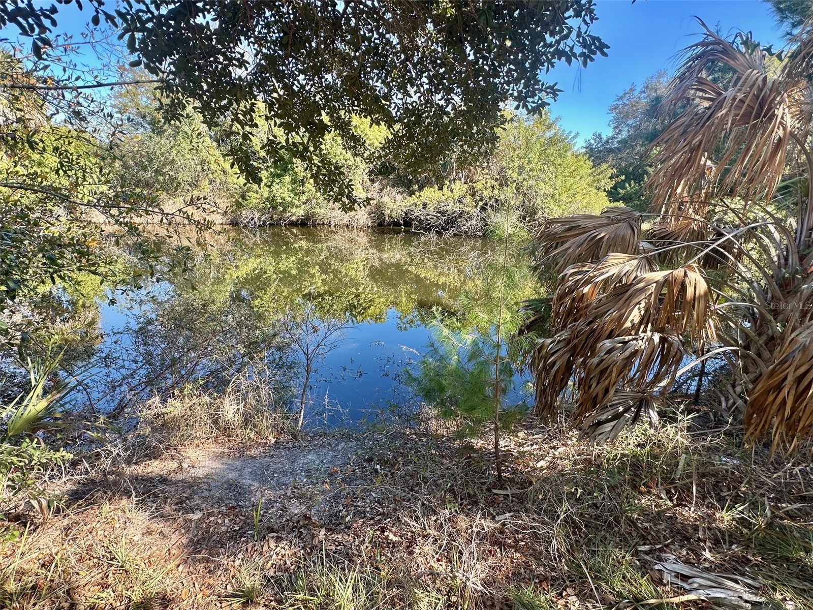 12406 Cobble Stone Drive Hudson FL 34667 - Bear Creek S5142831 image27